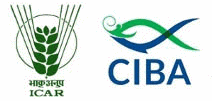 1-CIBA-Logo-1